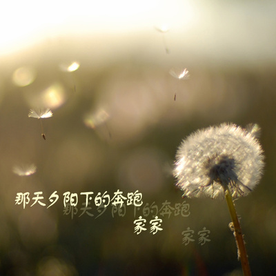 那天夕阳下的奔跑 (伴奏) - 家家封面