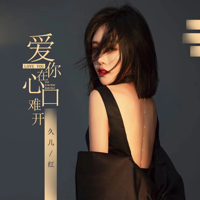 爱你在心口难开封面