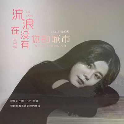 流浪在没有你的城市(DJ默涵版)(DJ默涵版)封面