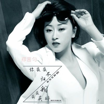 你夜夜不归我夜夜买醉(DJ默涵版)(DJ默涵版)封面