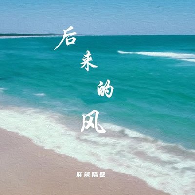 后来的风(DJ德朋版)(DJ德朋版)封面
