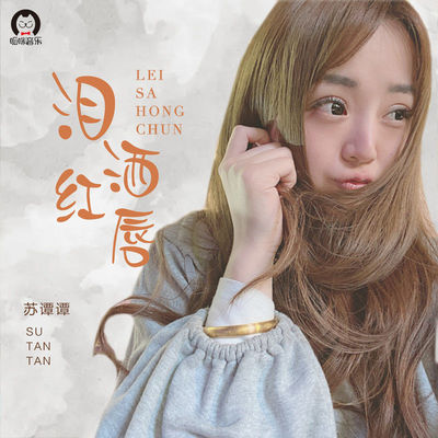 泪洒红唇 (DJ默涵版)封面
