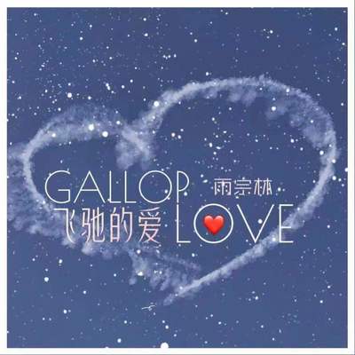 飞驰的爱 (伴奏)封面