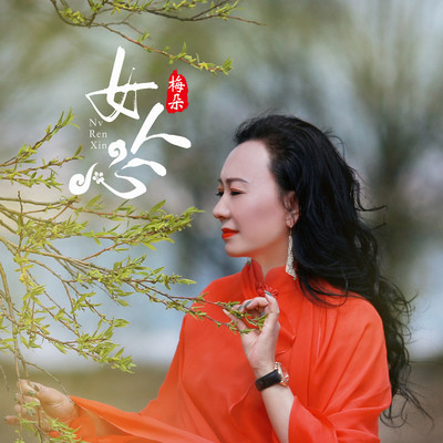 女人心 (DJ版)封面