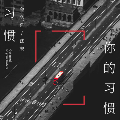 习惯你的习惯 (伴奏)封面