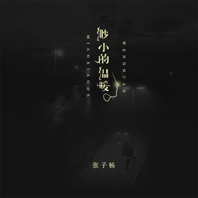 渺小的温暖（完整版）封面