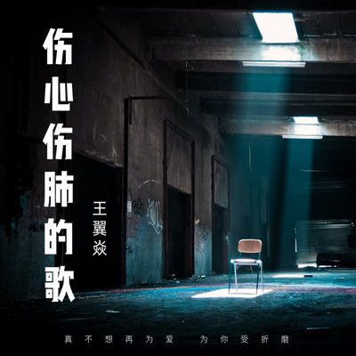 伤心伤肺的歌伴奏封面
