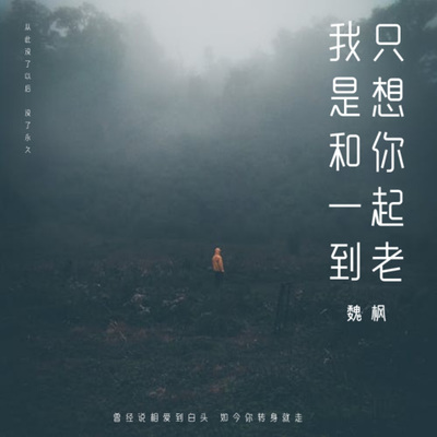 我只是想和你一起到老封面