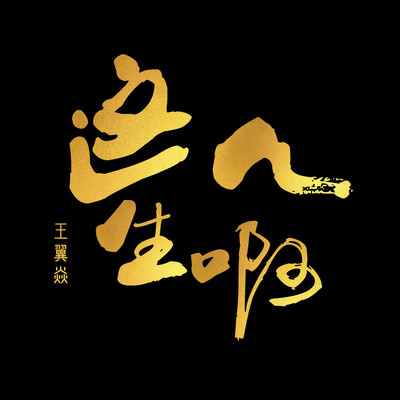 这人生啊封面
