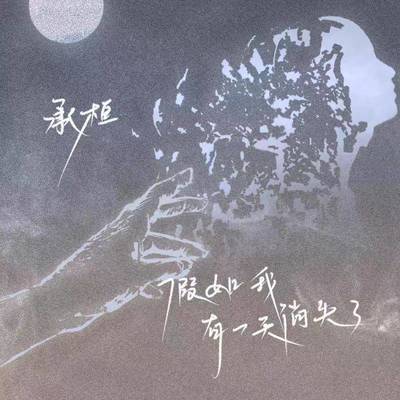假如我有一天消失了封面