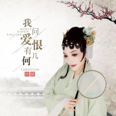 我问爱恨有几何DJ何鹏版封面