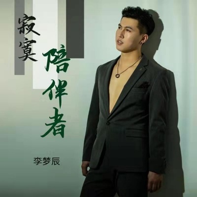 寂寞陪伴者DJheap九天封面