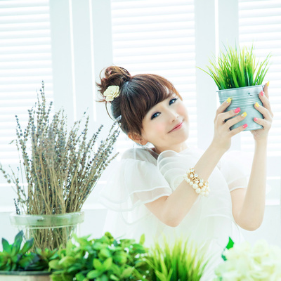 花开成海伴奏封面