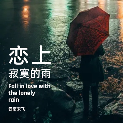 恋上寂寞的雨伴奏 - 云南宋飞封面