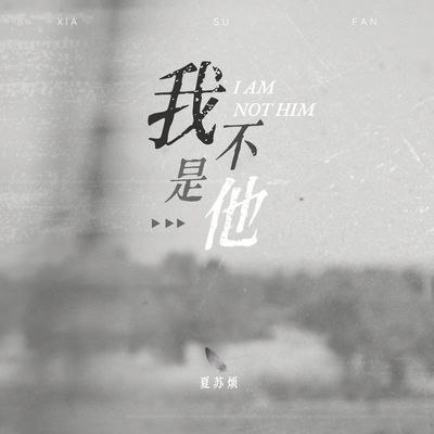 我不是他DJ阿卓版伴奏 - 夏苏烦封面