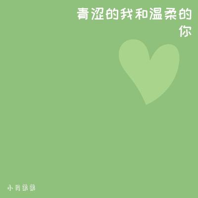 青涩的我和温柔的你封面