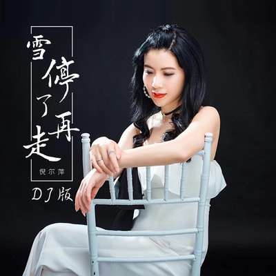 雪停了再走 (DJ版)封面