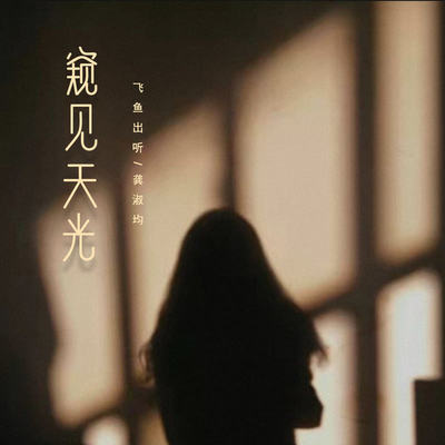 窥见天光（完整版） - 飞鱼出听 / 龚淑均封面