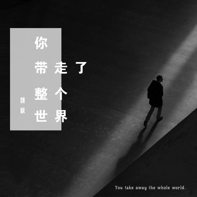 你带走了整个世界封面