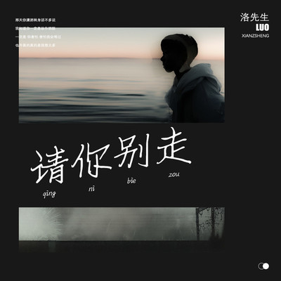 请你别走 - 洛先生封面