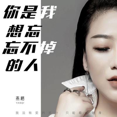 你是我想忘忘不掉的人伴奏 - 燕栖封面