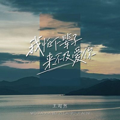 我怕下辈子来不及爱你封面