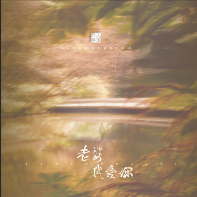 老婆我爱你（完整版）封面