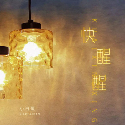 快醒醒（完整版）封面