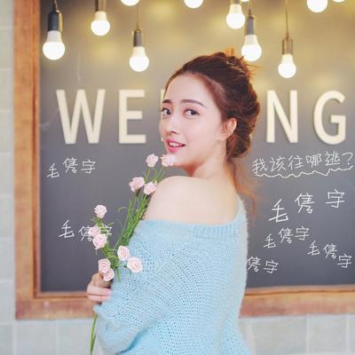 我该往哪逃（完整版）封面