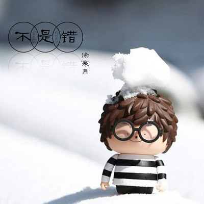 不是错伴奏 - 徐寒月封面
