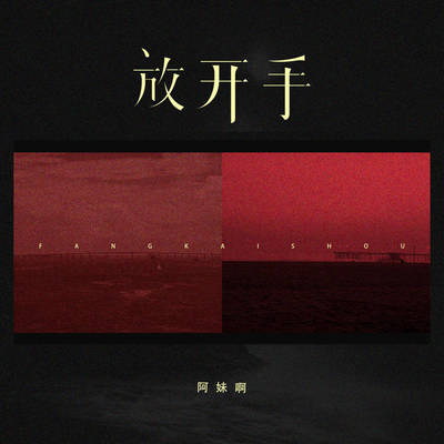 放开手伴奏封面