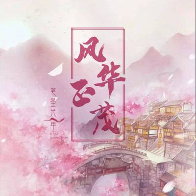 风华正茂（完整版）封面