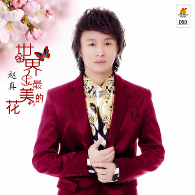 世界上最美的花(伴奏) - 赵真封面