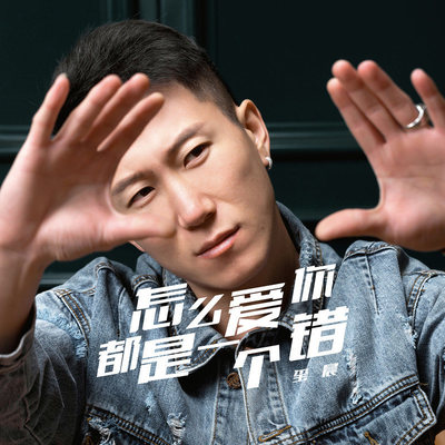 怎么爱你都是一个错封面