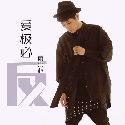 爱极必反封面