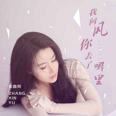 我问风你去了哪里(DJ默涵版)(DJ默涵版)封面