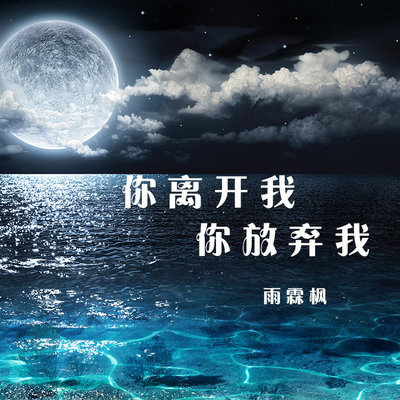 你离开我你放弃我 (伴奏)封面