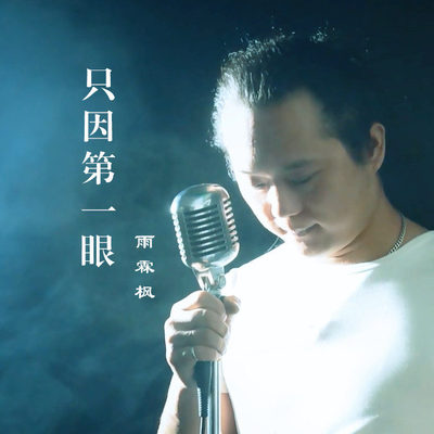 只因第一眼 (伴奏)封面