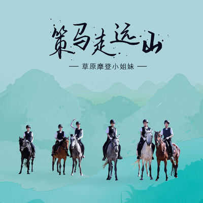 策马走远山(伴奏)封面