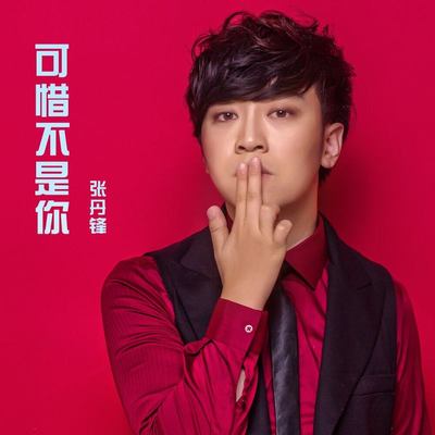 可惜不是你封面