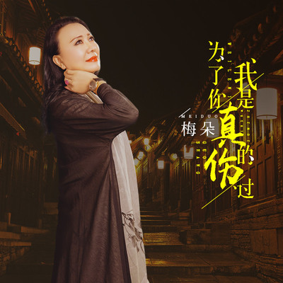 为了你我是真的伤过 - 梅朵封面