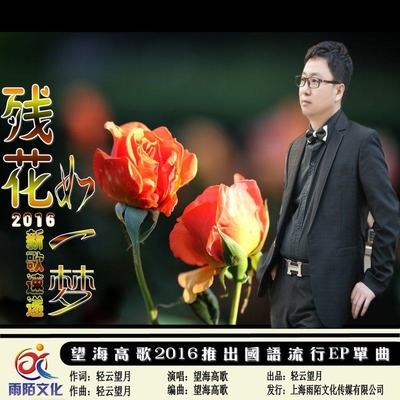 残花如一梦 (伴奏) - 望海高歌封面
