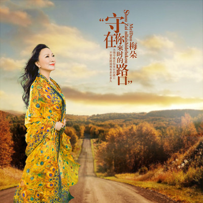 守在你来时的路口(伴奏)封面