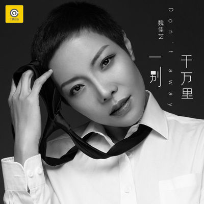 一别千万里 (DJ默涵版) - 魏佳艺封面