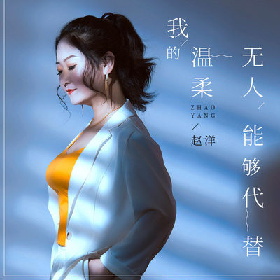 我的温柔无人能够代替(伴奏) - 赵洋封面