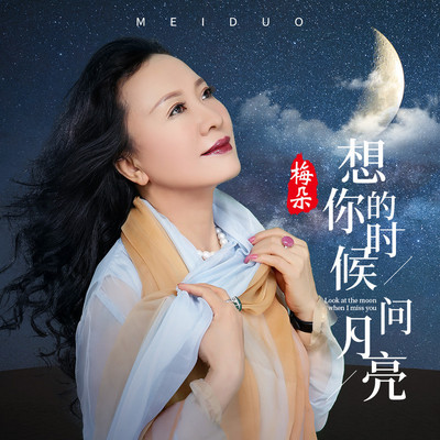 想你的时候问月亮封面