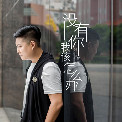 没有你我该怎么办封面