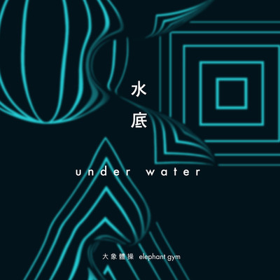 湖 Lake - 大象体操封面