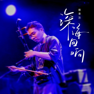 深海回响(二胡演奏版)封面