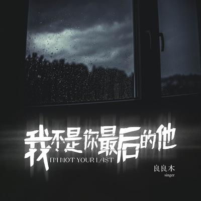 我不是你最后的他封面